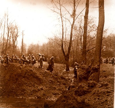 Avancée dans les bois