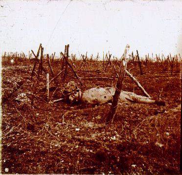 Cadavre dans les barbelés
